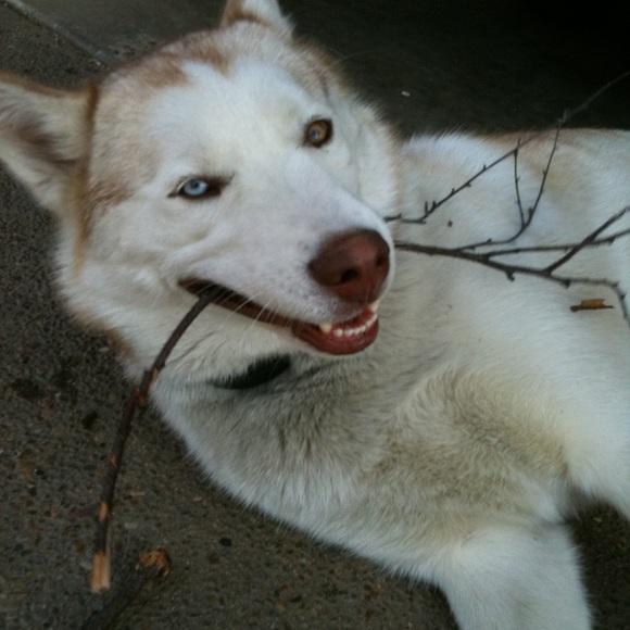 Meet your Posher, Stephanie - Picture 7 of 8